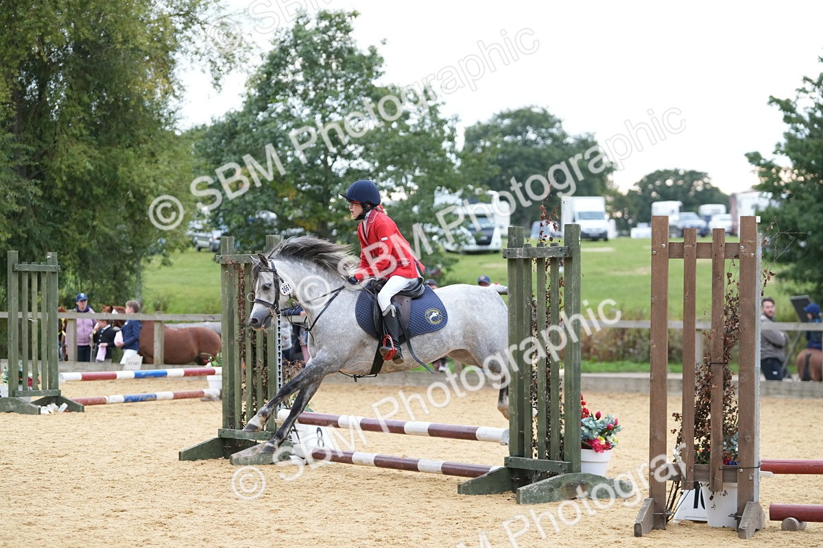 SBM_74858 - J4 - Mini Tour Junior Pony 45cm Championship