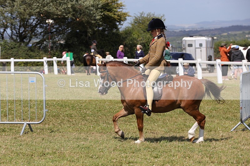 1X9A5352 - Class 37: NPS M&M First Ridden