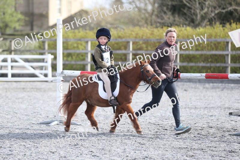 20260412-0078 - Show Jumping