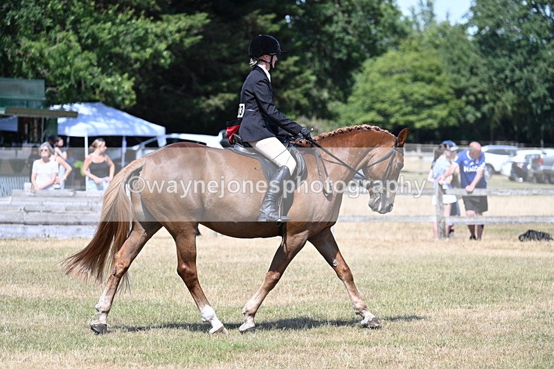 WJ7_3641 - Class 8 Ridden Veterans