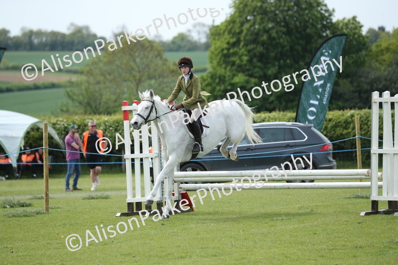 20260426-2090 - Class 15 - Absolute Novice 70cm