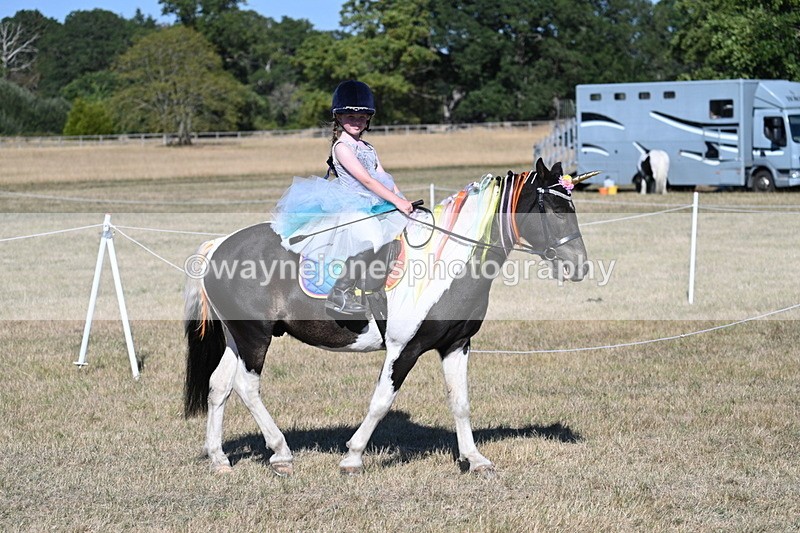 WJ7_2456 - Class 45 Fancy Dress (My Fav)