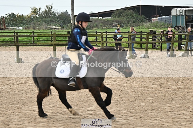 241110-111149-00359 - 50-55cm Arena Eventing