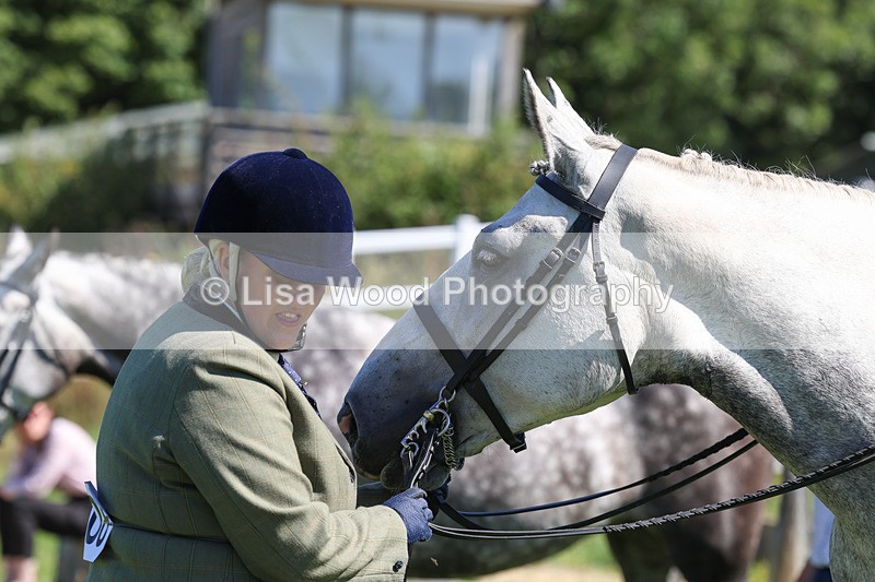 3E7A8445 - Class 4: Novice working Hunter