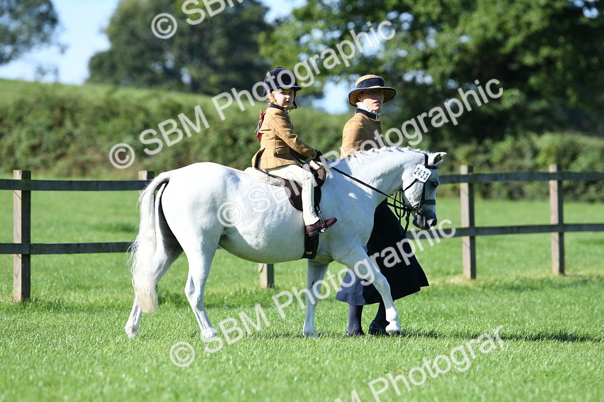 SBM_36699 - S18 - Novice & Newcomers Lead Rein Pony