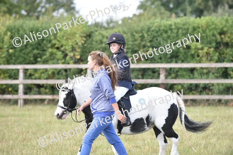 20250831-0478 - Class 7 - Absolute Novice 35cm