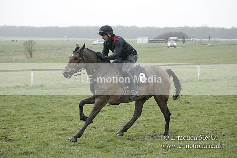 PtP 150320 0099 - New Forest Point-to-Point Larkhill 15/03/20