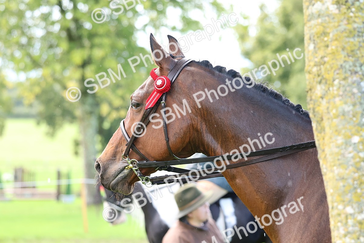 SBM_36879 - S11 - Best Ridden Horse & Pony