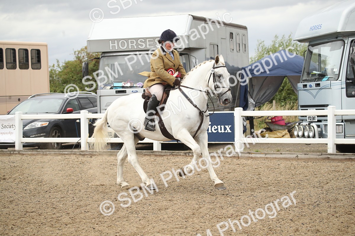 SBM_18482 - Class 510a - Working Veteran 90cm (15-19)
