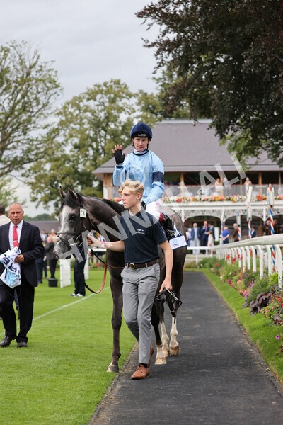 yr19082021r5-40 - Race 5 4.10pm OR8wellness ebfstallions Nursery Handicap