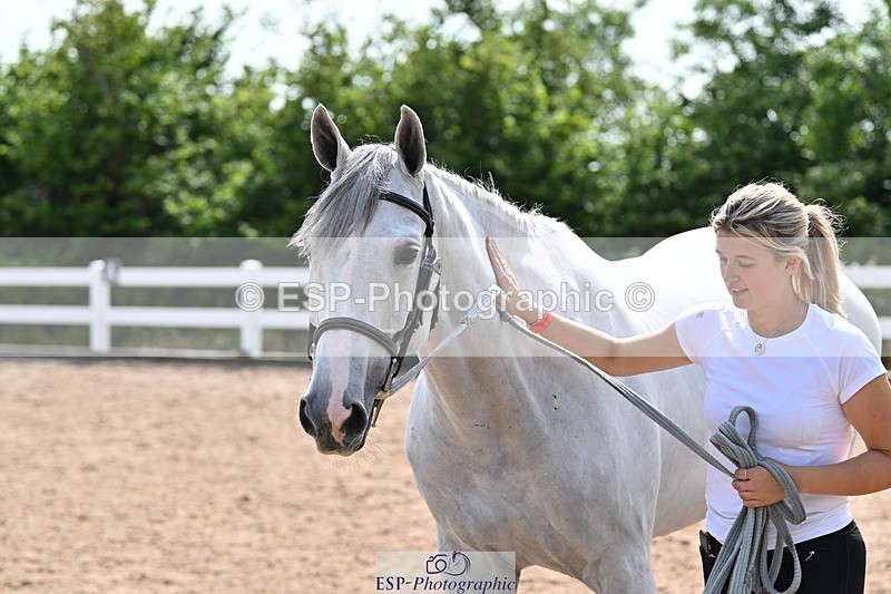 240717A-160034-03259 - Trot Up 4pm to 5pm