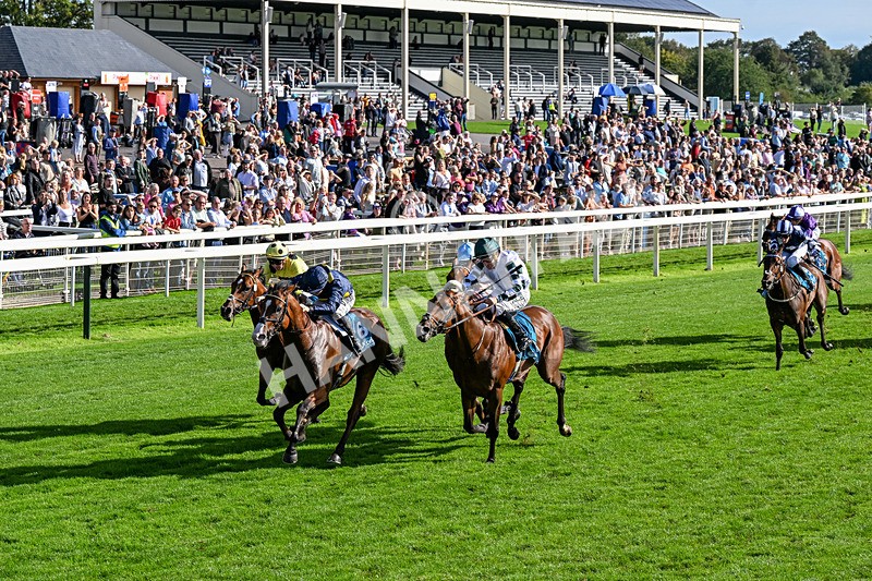 060926-Race 5-Extremely Zain-0321 - Race 5 3.50pm Starman At Tally Ho Stud Garrowby Stakes