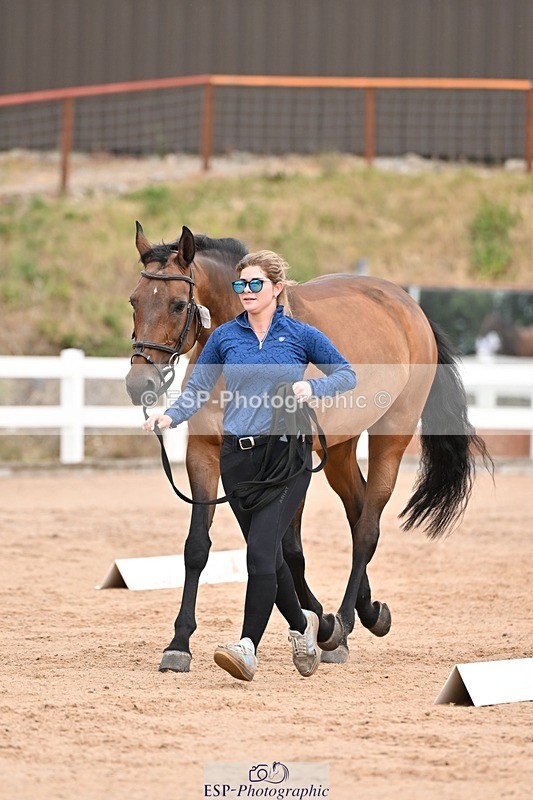 250716-151841-01859 - Trot Up 2.30 to 3.30