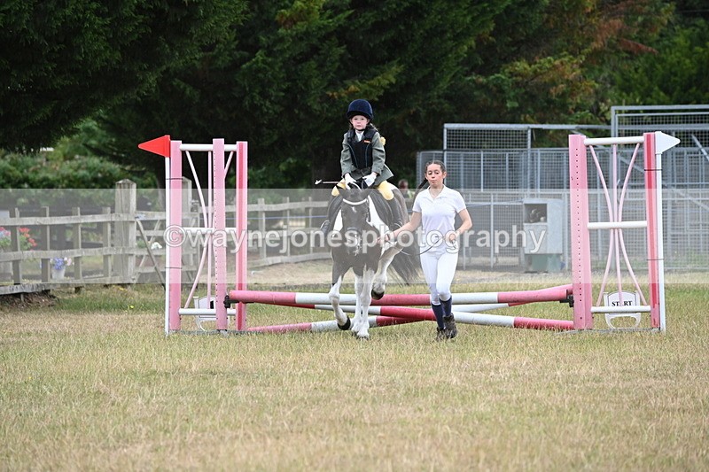 WJ6_9323 - Class 12 Minimus Jumping 45cm