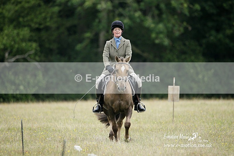 BVRC 030721 347 - Bourne Valley Riding Club Dressage 03/07/21