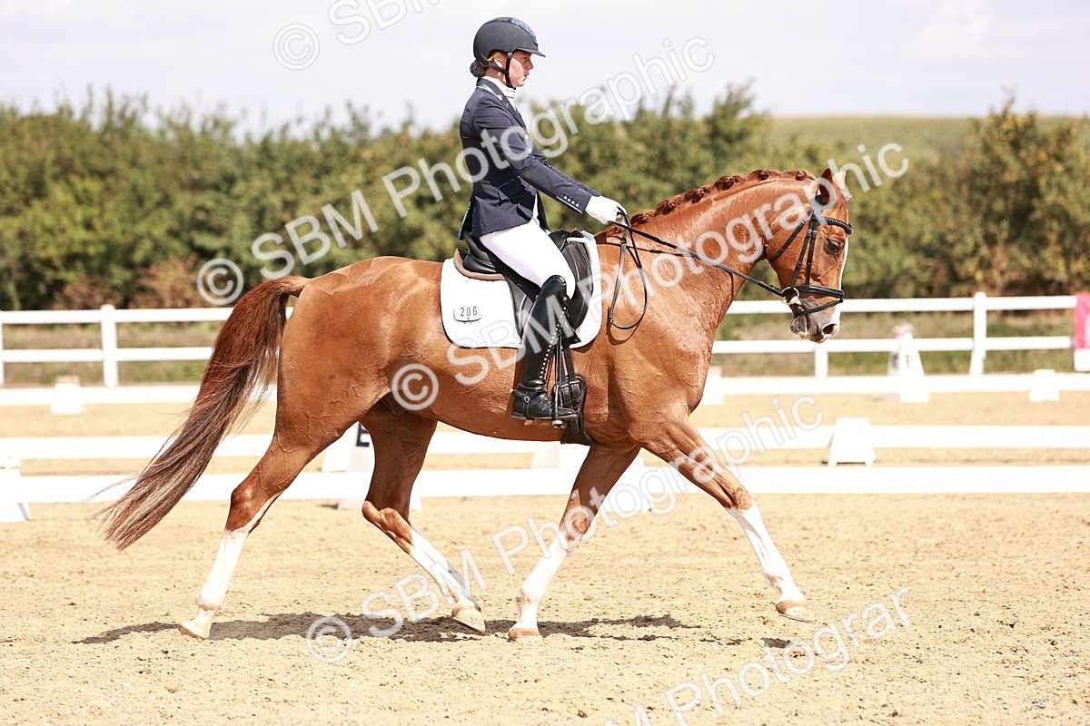 SBM_018454 - Class 17 - Novice 6