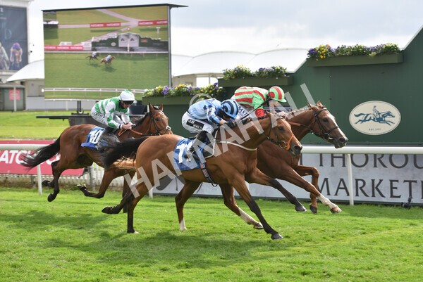 yr14052021r7-33 - Race 7 4.50pm Irish Thoroughbred Marketing Stakes