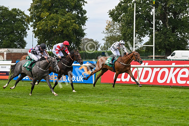 060925-Race 1-Dunkeld Dreamer-4178 - Race 1