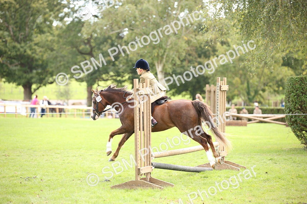 SBM_42308 - S13 - Pony Club Pony