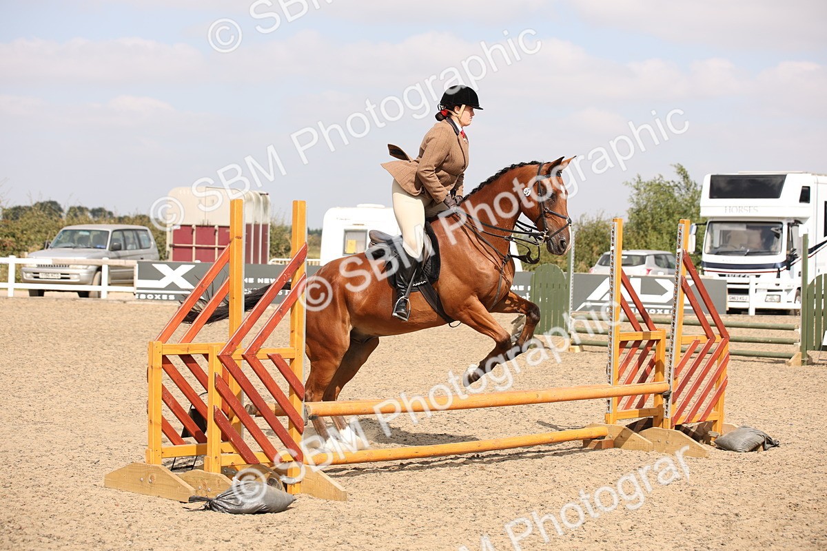 SBM_14271 - Class 407b - Working Veteran 60cm (20+)