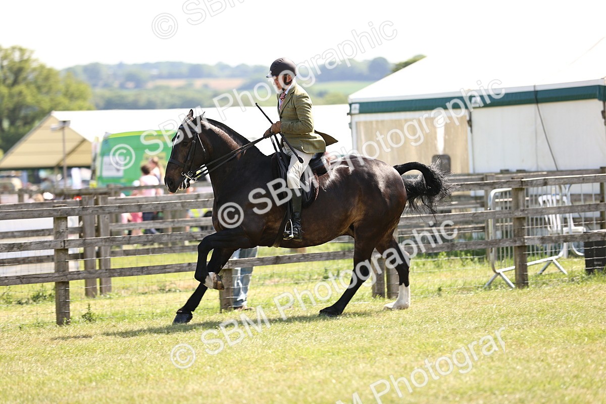 SBM_13751 - Class 77 - LIHS BSHA Rising Star Cobs