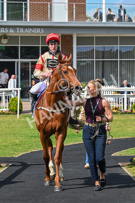 020526-Race 3-Mirsky-9427 - Race 3 2.40pm Sky Bet Thirsk Hunt Cup Handicap