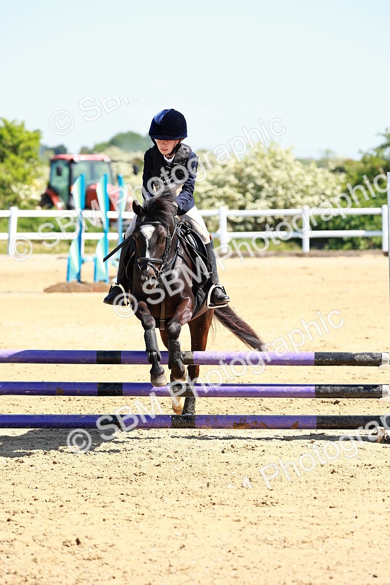 SBM_007351 - Class 3 - 60cm