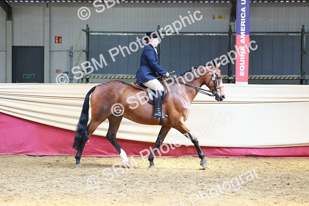 SBM_23293 - class 906 - Supreme Final - Ridden Pre Vet