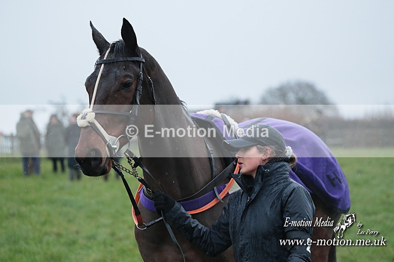 PtP 031223 139 - Wheatland Hunt PtP Chaddesley Races 03/12/23