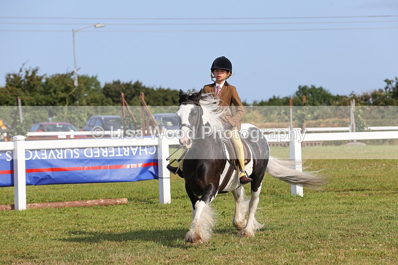 1X9A3314 - Class 28: Ridden Native/Trad Coloured Pony