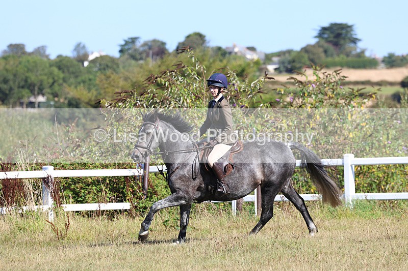 3E7A5520 - Class 3: Working Hunter 70cm