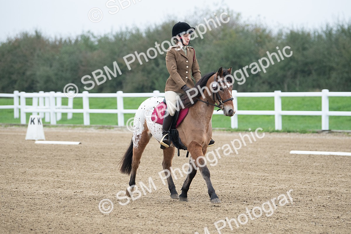SBM_003397 - Introductory Test 3