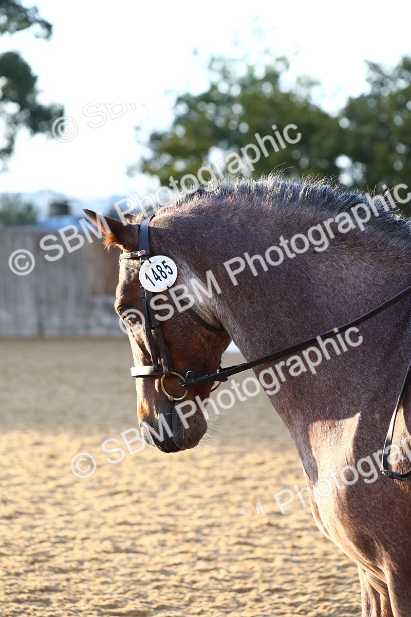 SBM_31803 - D11 - Small Tour Championship Prelim 1