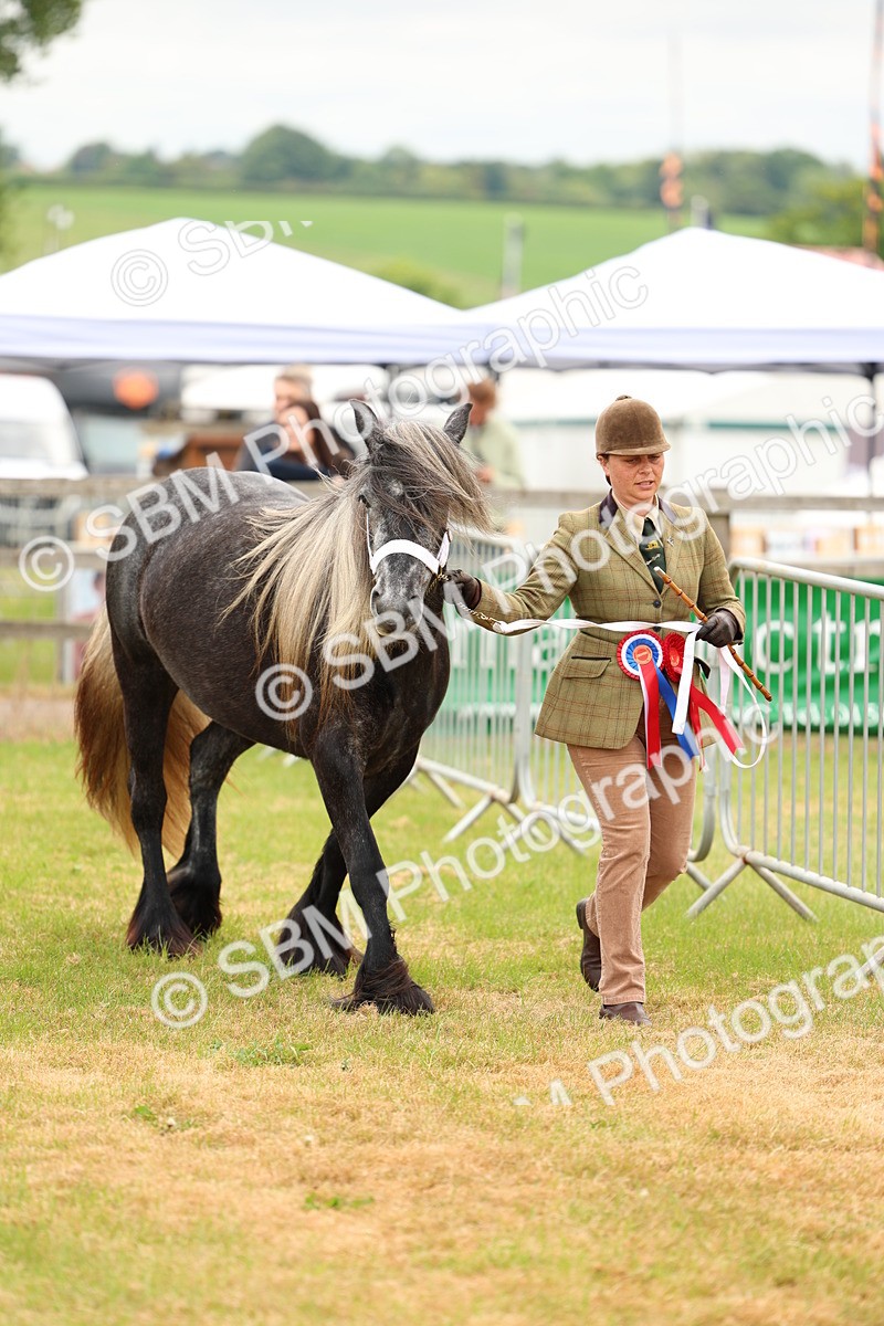 SBM_03553 - Class 58-67 - M&M Non Welsh Pony In hand
