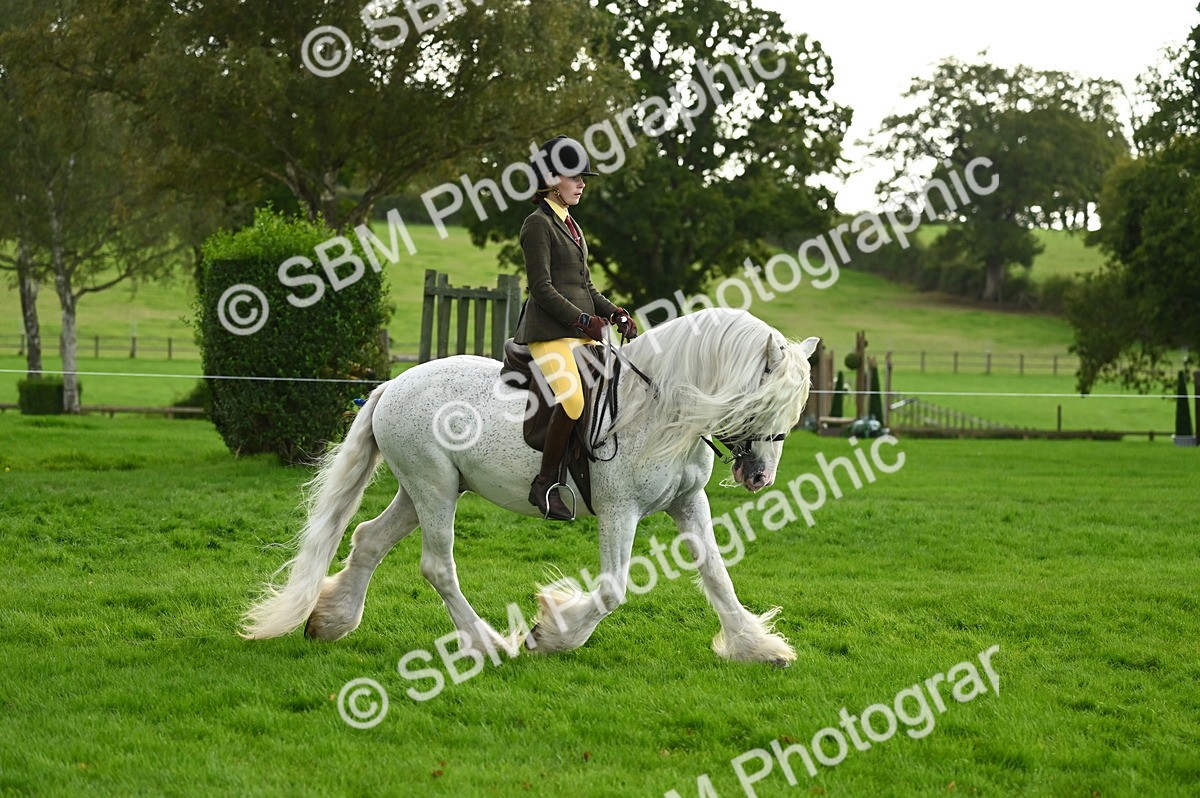 SBM_26614 - S7 - Novice & Newcomer Ridden Pony