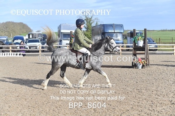 BPP_8604 - TRAINING STAKES