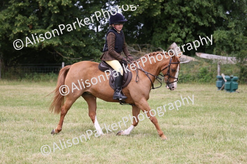 20260614-2909 - Class 22 - Open Working Hunter