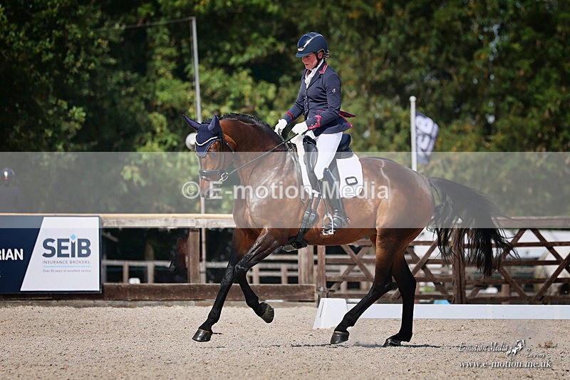 ADTB 080826 693b - Equestrian