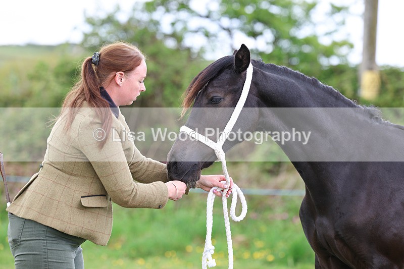 3E7A0845 - In Hand Championship