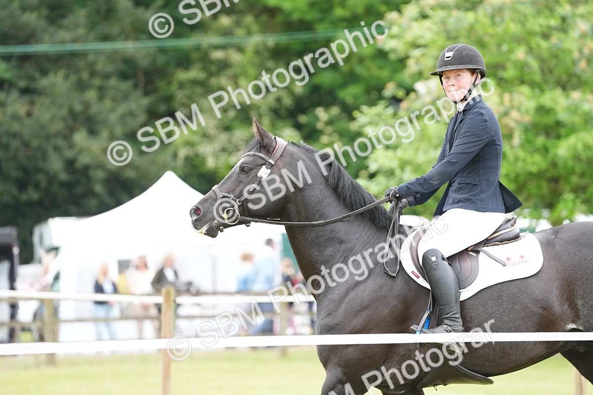 SBM_03304 - Class 201 - British Horse Feeds Speedi Beet Horse of the Year Show Grade  C
