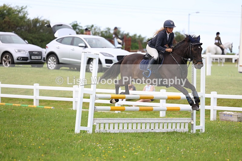 3E7A1782 - Class 13: Senior British Novice/90cm open