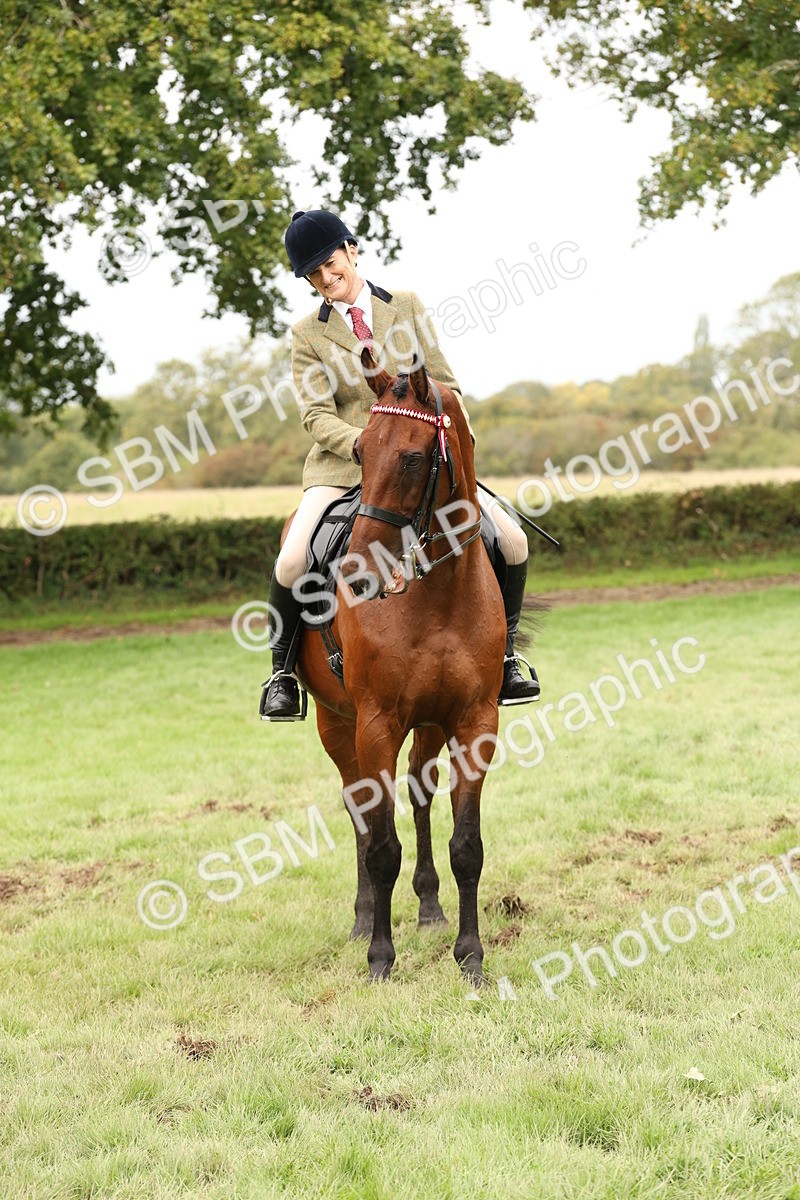 SBM_64301 - S65 - Riding Horse & Hack & Thoroughbred Ridden