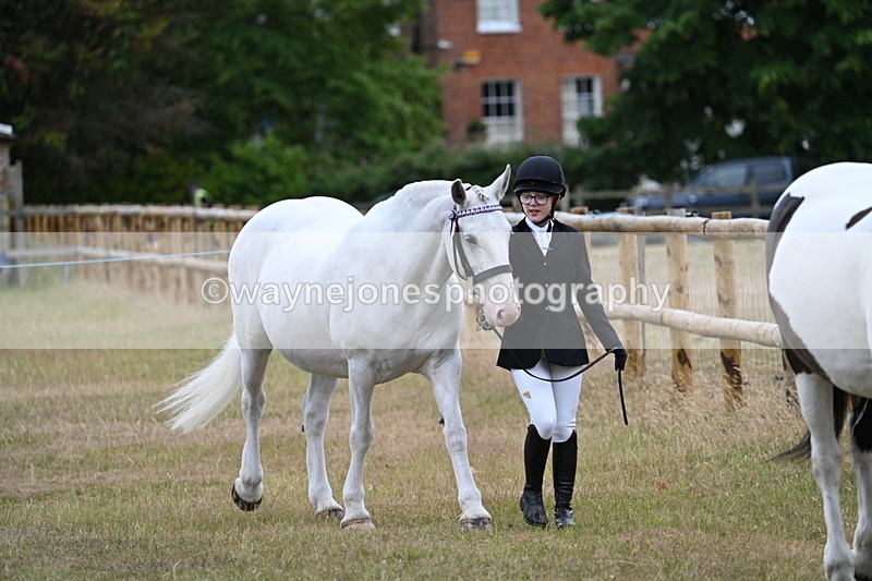 WJ7_9069 - Class 4a Prettiest Mare 14.2hh and over