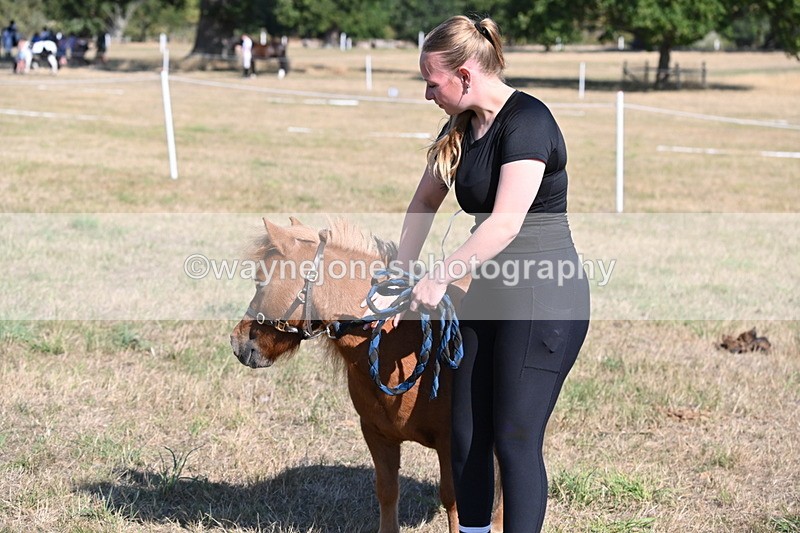 WJ6_7317 - Class 33 Rescue Pony