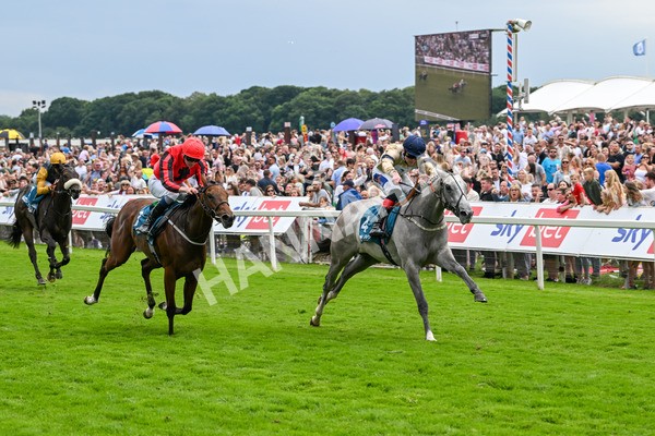 270724-Race 4-Greydreambeliever-7255 - Race 4 4.00pm Sky Bet Club EBF Fillies' Novice Stakes