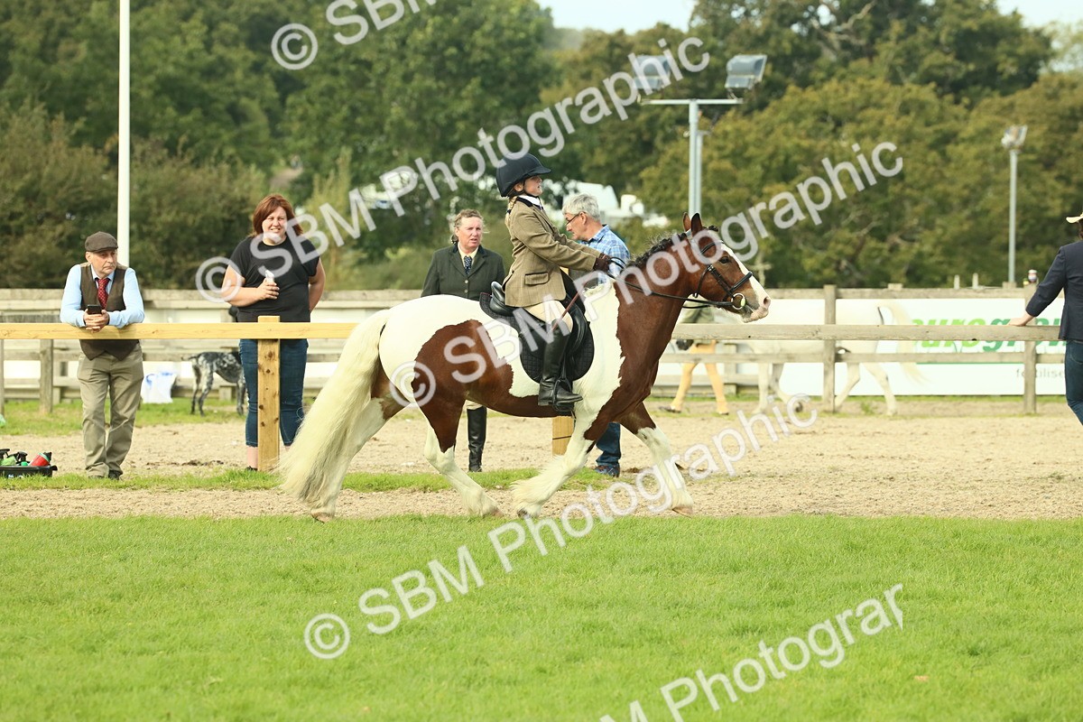 SBM_68232 - S58 - Mini Show Cob Ridden