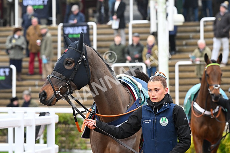 131224-Race 1-Wingmen-8449 - Race 1