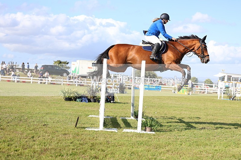 3E7A4363 - Class C: Showjumping Senior Foxhunter