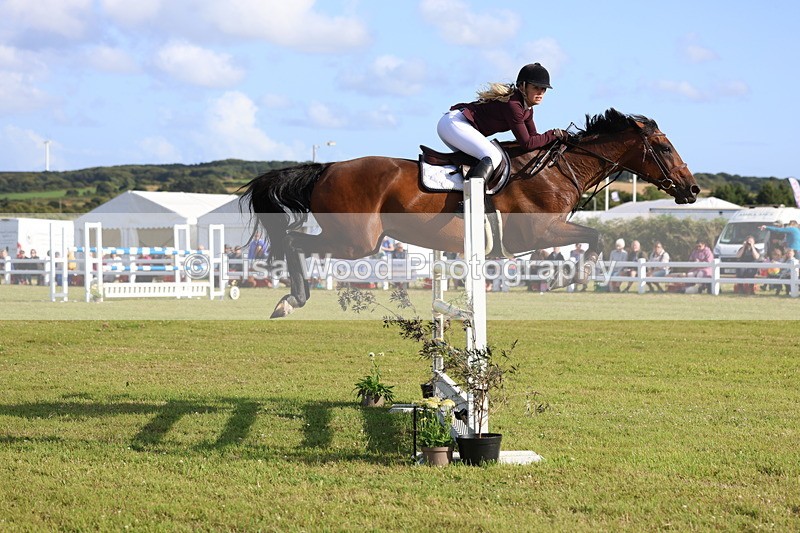 3E7A4454 - Class C: Showjumping Senior Foxhunter