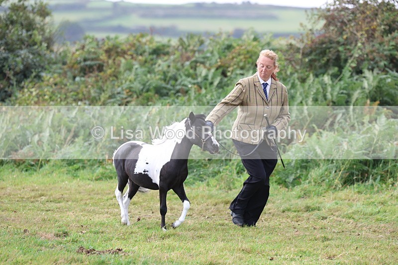 3E7A5380 - Class 19: Best Coloured in Hand